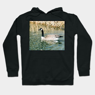 Geese on the pond Hoodie